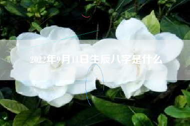 2022年9月11日生辰八字是什么