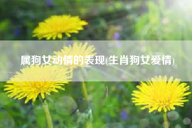 属狗女动情的表现(生肖狗女爱情)