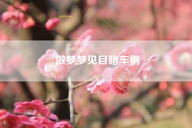 做梦梦见目睹车祸