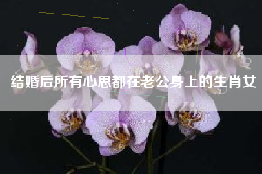 结婚后所有心思都在老公身上的生肖女