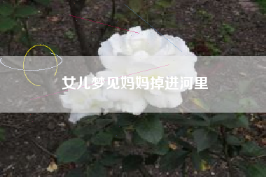 女儿梦见妈妈掉进河里