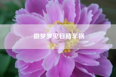 做梦梦见目睹车祸
