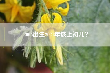 2006出生2021年该上初几？