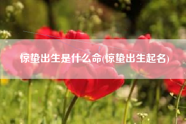 惊蛰出生是什么命(惊蛰出生起名)