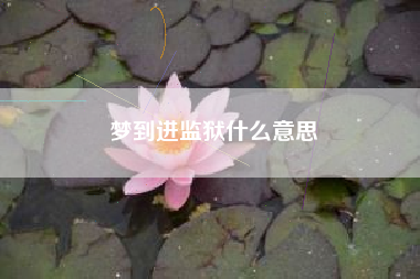 梦到进监狱什么意思