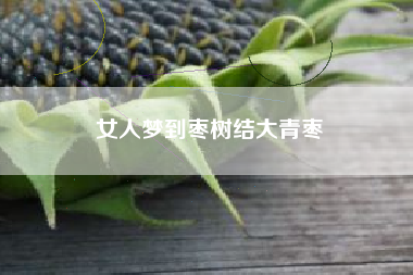 女人梦到枣树结大青枣
