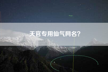 天官专用仙气网名？