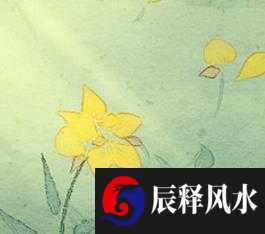 绝命位放五帝铜钱能不能化解
