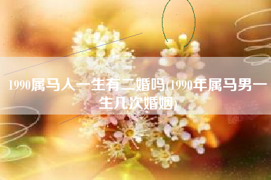 1990属马人一生有二婚吗(1990年属马男一生几次婚姻)