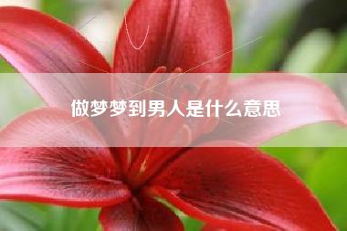 做梦梦到男人是什么意思