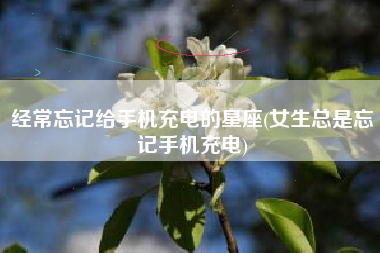 经常忘记给手机充电的星座(女生总是忘记手机充电)