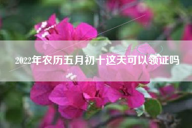 2022年农历五月初十这天可以领证吗