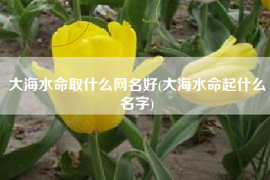 大海水命取什么网名好(大海水命起什么名字)