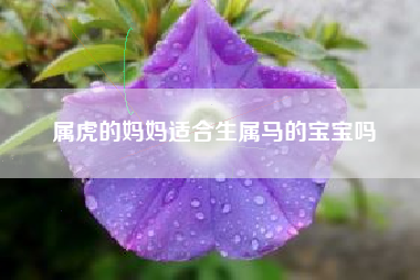 属虎的妈妈适合生属马的宝宝吗