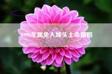 1999年属兔人城头土命婚姻