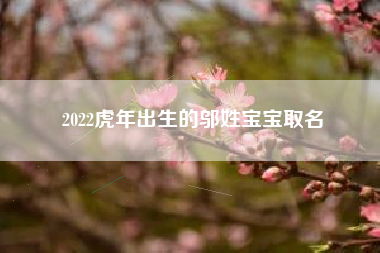 2022虎年出生的邬姓宝宝取名