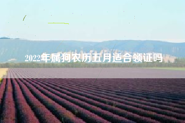 2022年属狗农历五月适合领证吗