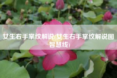 女生右手掌纹解说(女生右手掌纹解说图 智慧线)