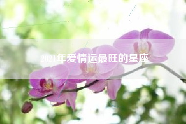 2021年爱情运最旺的星座