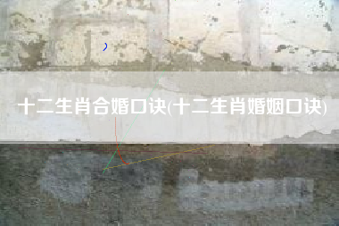 十二生肖合婚口诀(十二生肖婚姻口诀)