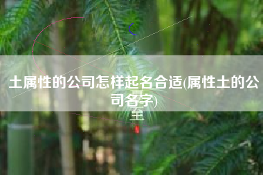 土属性的公司怎样起名合适(属性土的公司名字)