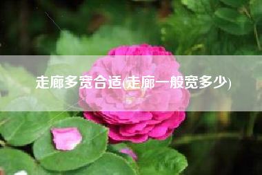 走廊多宽合适(走廊一般宽多少)