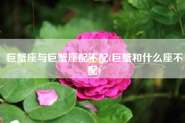 巨蟹座与巨蟹座配不配(巨蟹和什么座不配)