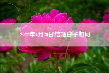 2022年4月20日结婚日子如何