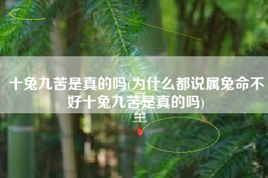 十兔九苦是真的吗(为什么都说属兔命不好十兔九苦是真的吗)