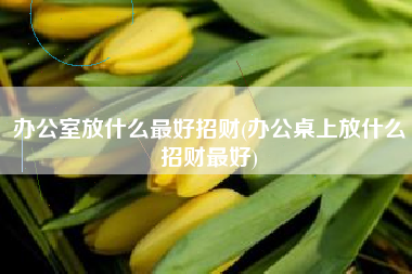 办公室放什么最好招财(办公桌上放什么招财最好)