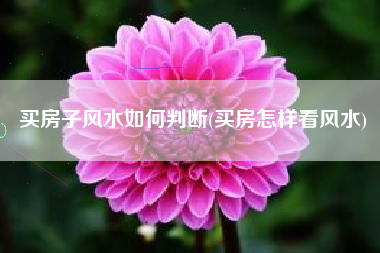买房子风水如何判断(买房怎样看风水)