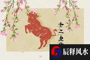 1982年属什么生肖 属狗人晚年事业发达