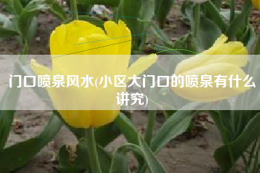 门口喷泉风水(小区大门口的喷泉有什么讲究)