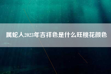 属蛇人2023年吉祥色是什么旺桃花颜色