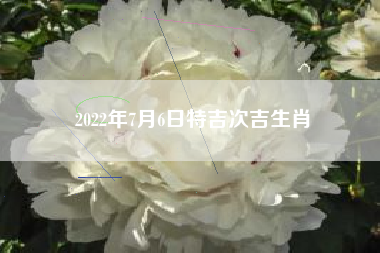 2022年7月6日特吉次吉生肖