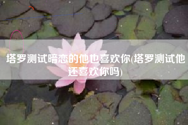 塔罗测试暗恋的他也喜欢你(塔罗测试他还喜欢你吗)