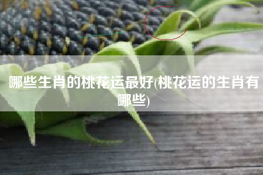 哪些生肖的桃花运最好(桃花运的生肖有哪些)