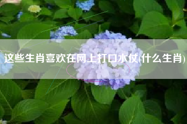 这些生肖喜欢在网上打口水仗(什么生肖)