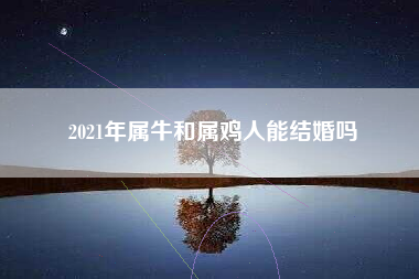 2021年属牛和属鸡人能结婚吗