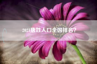 2021唐姓人口全国排名？