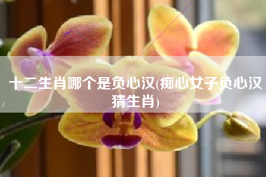 十二生肖哪个是负心汉(痴心女子负心汉猜生肖)
