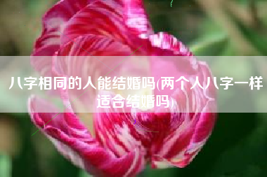 八字相同的人能结婚吗(两个人八字一样适合结婚吗)
