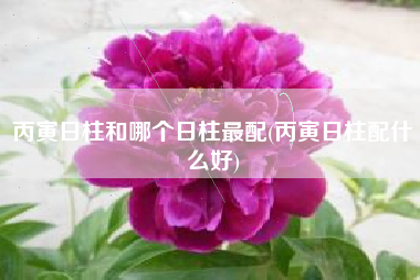丙寅日柱和哪个日柱最配(丙寅日柱配什么好)