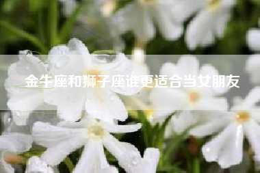 金牛座和狮子座谁更适合当女朋友