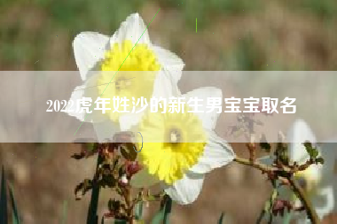 2022虎年姓沙的新生男宝宝取名