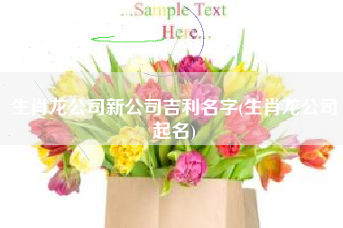 生肖龙公司新公司吉利名字(生肖龙公司起名)