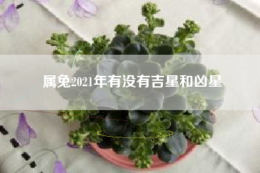 属兔2021年有没有吉星和凶星