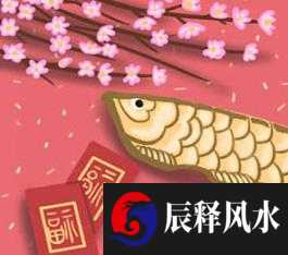 风水 