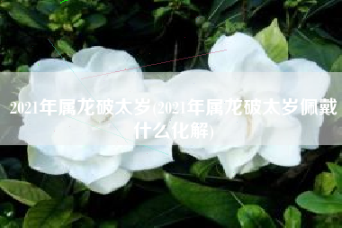 2021年属龙破太岁(2021年属龙破太岁佩戴什么化解)
