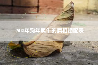 2018年狗年属牛的属相婚配表